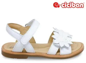 Ponza White 45